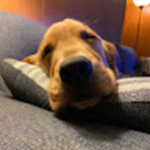 Meet your Posher, Eric